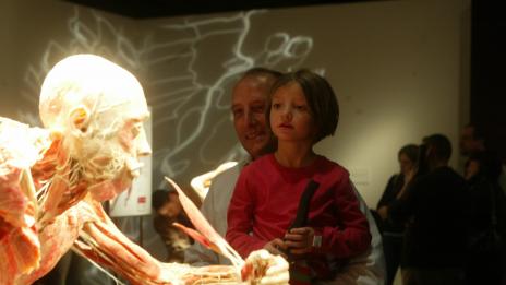 Уникалната изложба „Човешкото тяло – разкрито и реално“ пристига в България