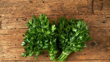 Срещу лош дъх и подут корем хапвайте магданоз