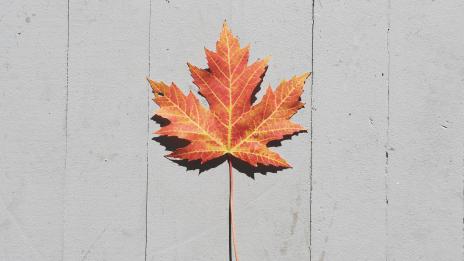 Месечният ви хороскоп за септември