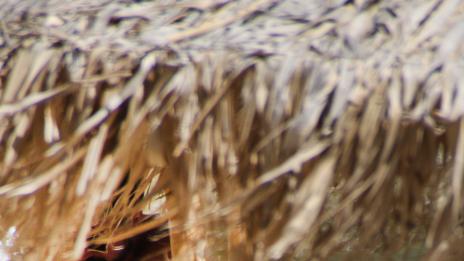 Адриана Лима сингъл, омая футболиста Сами Кедира