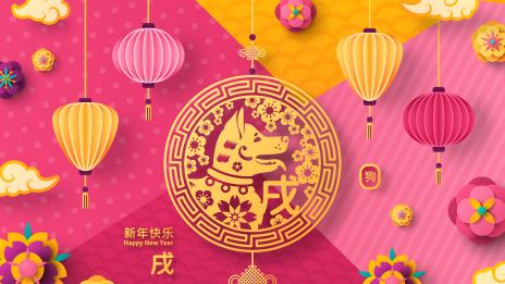 Годината на Жълтата Земна Свиня: Куче