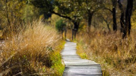 Дневният ви хороскоп за 29 октомври