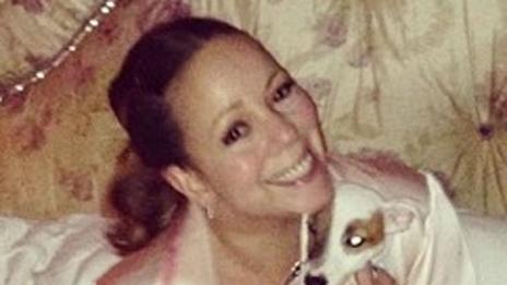 Марая Кери прати кучетата си на почивка