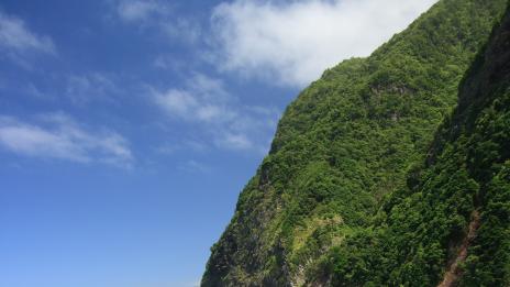 Не остана време за Мадейра!