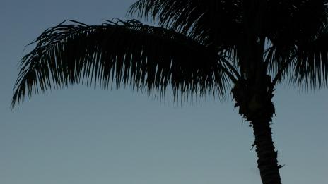 Купон край морето