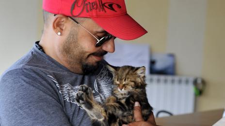 Котката на Дичо отново стана  жертва на отвличане