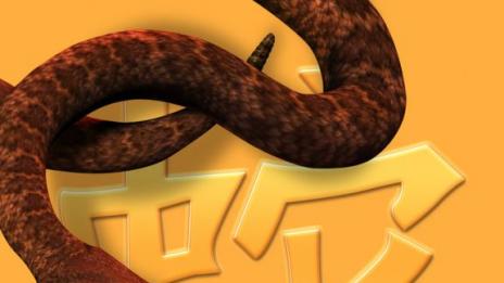 Какво ни очаква в годината на Змията