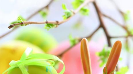 Откъде се взе Великденският заек?