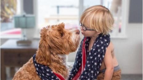 Приятелство между 3-годишен и куче трогна интернет