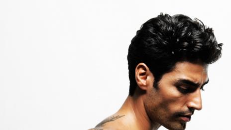 Всичко за пениса (част първа)