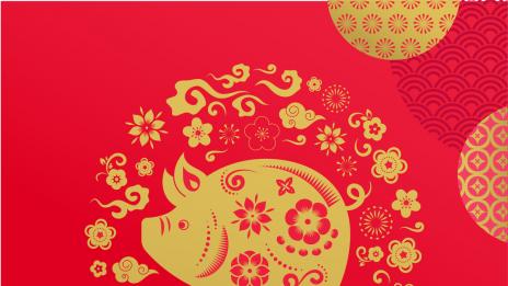 Годината на Жълтата Земна Свиня: Бик