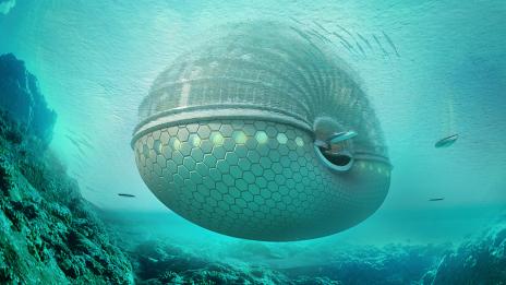 Арката -архитектурно съвършенство или катастрофа!?