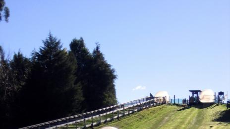 Най-странните спортове в света