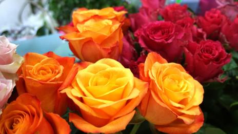 Честит 8 март! Мили дами, бъдете обичани и ценени!