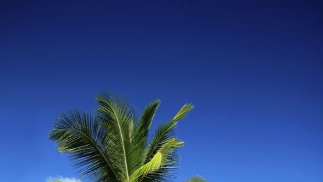 Интересни факти за Бахамите – част втора