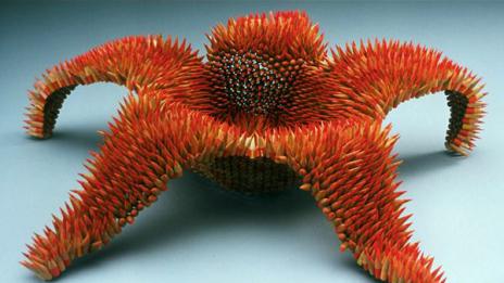 Причудливи цветя и животни от моливи