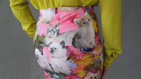 Котешка лудост в модата