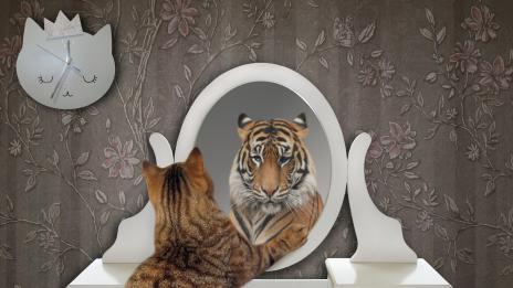 Какъв тип човек си според годината на раждане? (1 част)