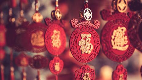 Годината на Жълтата Земна Свиня: Коза (Овца)