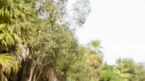 Как да пътувате с малък бюджет