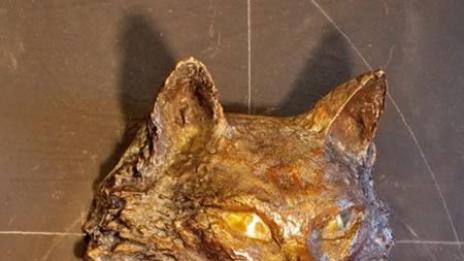 Чук-чук идват гости!