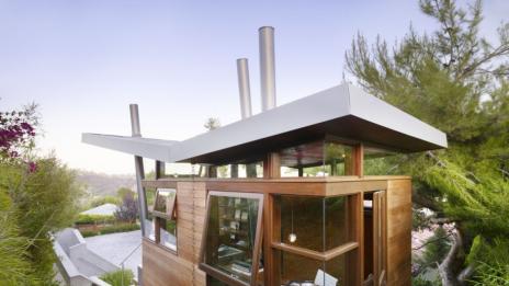 На дърво или не точно