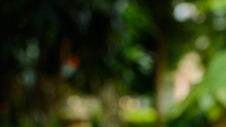 5 храни при махмурлук