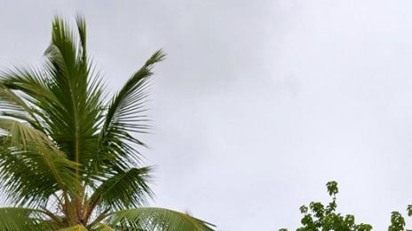 Гала отмаря на Малдивите