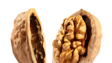 Орехът – царят на ядките