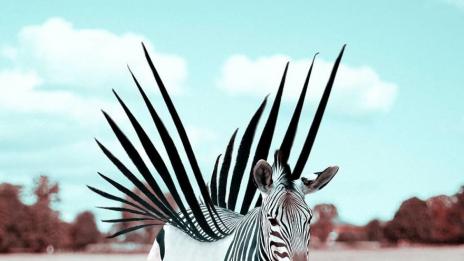 Отвъд реалността: Фантастичните животни на един артист