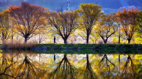 Двойна реалност