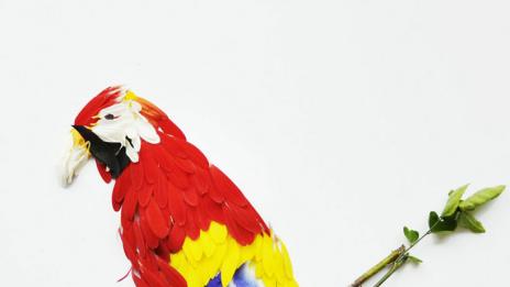 Екзотични птици от венчелистчета