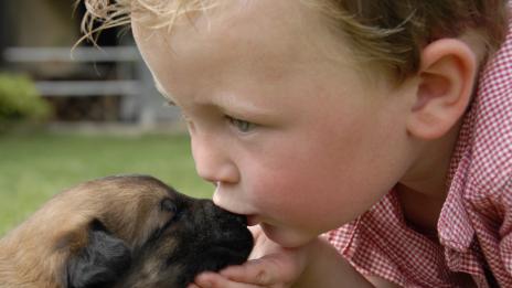 Какво куче да си вземете, ако имате бебе или малко дете?