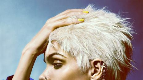 Пънк в стил „Пинк“