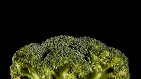 Зеленото е цветът на здравето