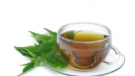 Копривата и многобройните й ползи за здравето