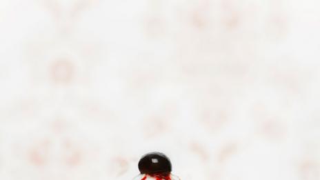 Сладко месо