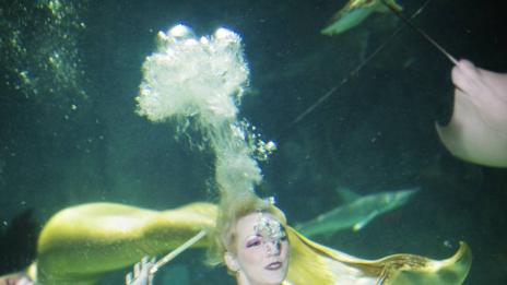 Русалките са живи във Флорида