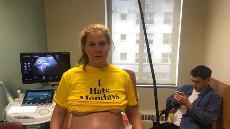 Ейми Шумър стана майка