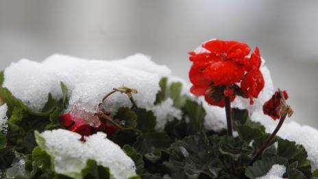 Хороскопът ви за 4 декември