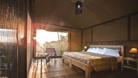 Африкански екошик в саваната