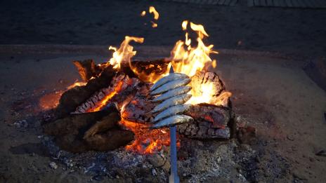 Каква риба да ядете през лятото?