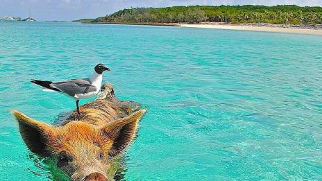 33 острова, които трябва да посетите преди да умрете