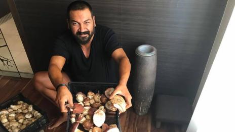 Азис в перспектива – прави зимнина