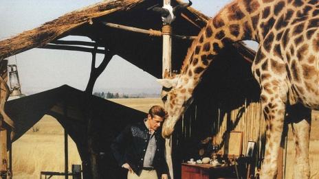 С мъже на сафари