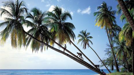 Горещите дестинации за студеното време  (част втора)