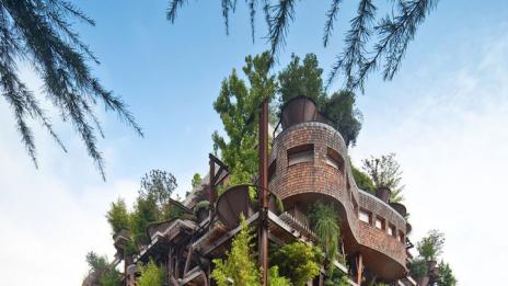 Да живееш сред зеленина в града