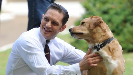 Том Харди е най-добрият холивудски приятел на кучетата