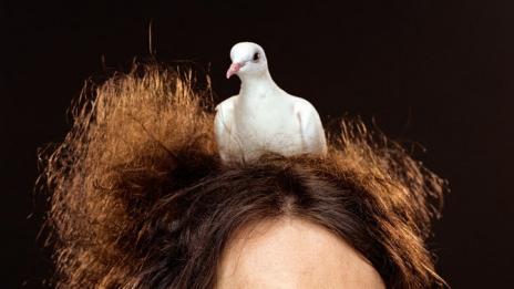 Един нетипичен звезден свят. Светът на Мартин Шьолер