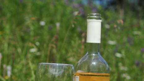 Отслабвайте със сирене